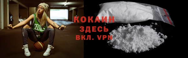 дмт Арсеньев