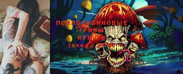 соль ск Аркадак