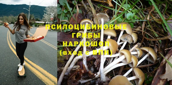 дмт Арсеньев