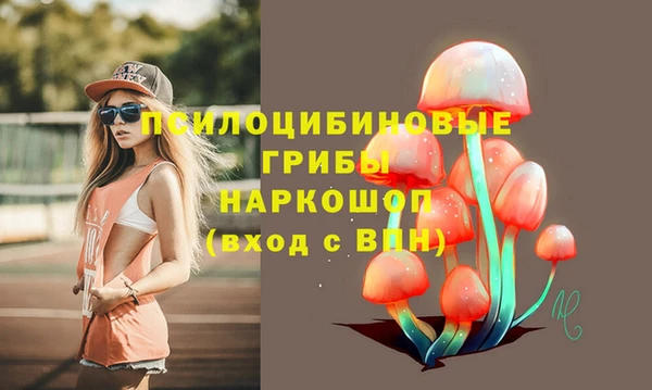 дмт Арсеньев