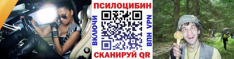 Галлюциногенные грибы мицелий  Камбарка 